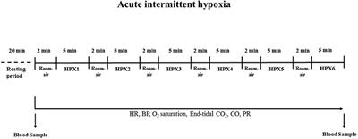 The Role of Acute Intermittent Hypoxia in Neutrophil-Generated Superoxide, Sympathovagal Balance, and Vascular Function in Healthy Subjects